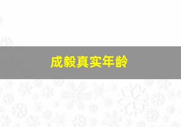 成毅真实年龄