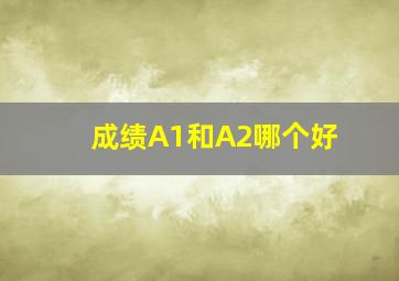 成绩A1和A2哪个好