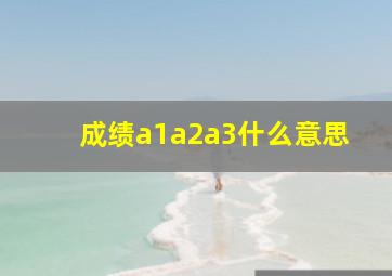 成绩a1a2a3什么意思