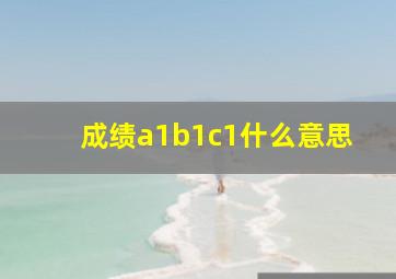 成绩a1b1c1什么意思