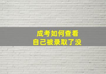 成考如何查看自己被录取了没