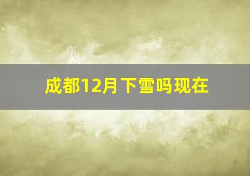 成都12月下雪吗现在