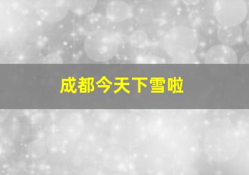 成都今天下雪啦