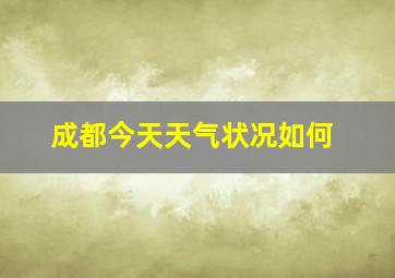 成都今天天气状况如何