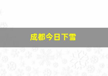 成都今日下雪