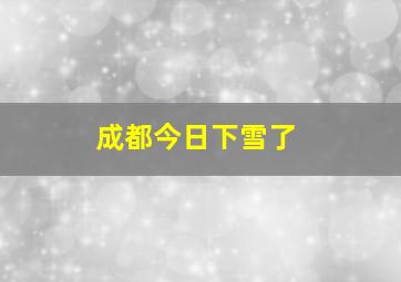 成都今日下雪了