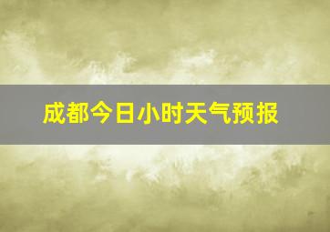 成都今日小时天气预报