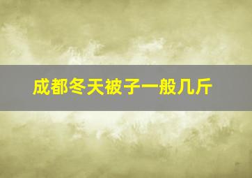 成都冬天被子一般几斤