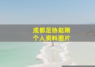 成都足协赵刚个人资料图片