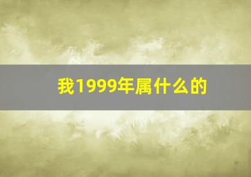 我1999年属什么的