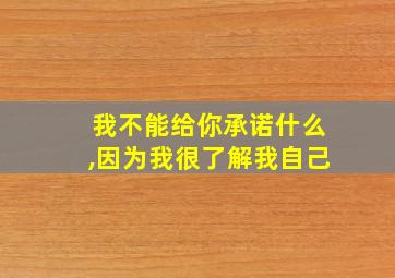 我不能给你承诺什么,因为我很了解我自己