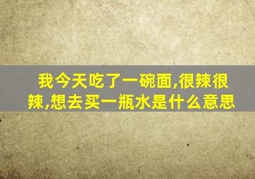 我今天吃了一碗面,很辣很辣,想去买一瓶水是什么意思