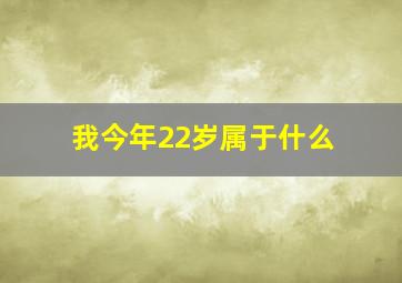 我今年22岁属于什么