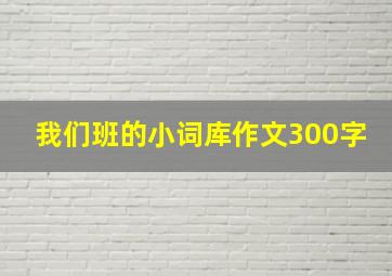 我们班的小词库作文300字