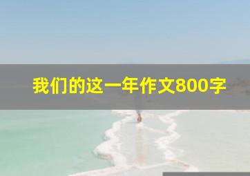 我们的这一年作文800字