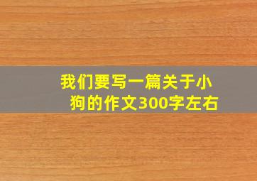 我们要写一篇关于小狗的作文300字左右