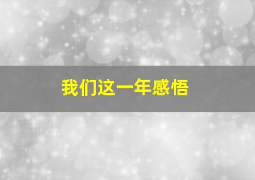 我们这一年感悟