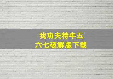 我功夫特牛五六七破解版下载