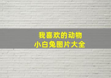 我喜欢的动物小白兔图片大全