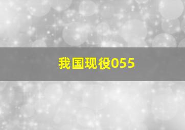 我国现役055