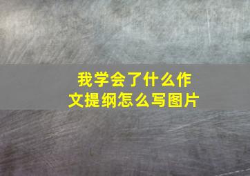 我学会了什么作文提纲怎么写图片