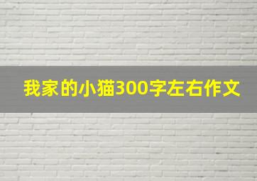 我家的小猫300字左右作文