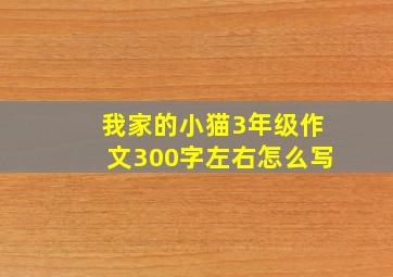 我家的小猫3年级作文300字左右怎么写