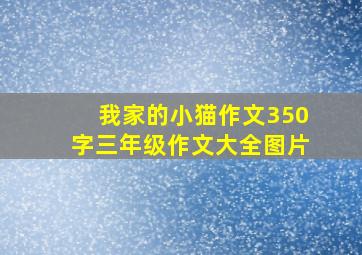 我家的小猫作文350字三年级作文大全图片