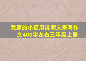 我家的小猫用说明文来写作文400字左右三年级上册