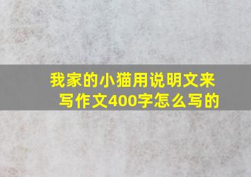 我家的小猫用说明文来写作文400字怎么写的