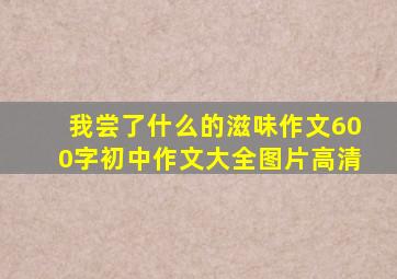 我尝了什么的滋味作文600字初中作文大全图片高清