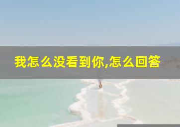 我怎么没看到你,怎么回答