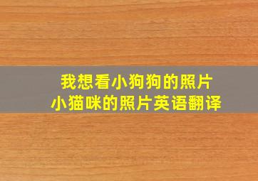 我想看小狗狗的照片小猫咪的照片英语翻译