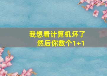 我想看计算机坏了然后你数个1+1