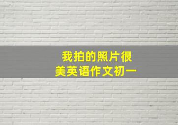 我拍的照片很美英语作文初一