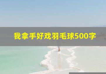 我拿手好戏羽毛球500字