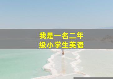 我是一名二年级小学生英语