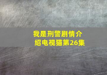 我是刑警剧情介绍电视猫第26集