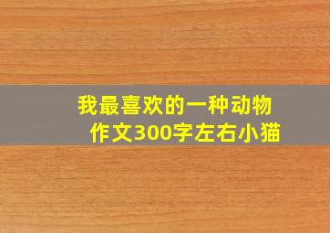 我最喜欢的一种动物作文300字左右小猫