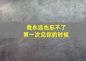 我永远也忘不了第一次见你的时候