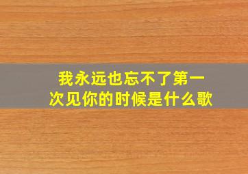 我永远也忘不了第一次见你的时候是什么歌