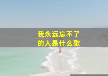 我永远忘不了的人是什么歌