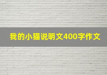 我的小猫说明文400字作文