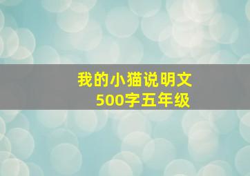 我的小猫说明文500字五年级