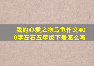 我的心爱之物乌龟作文400字左右五年级下册怎么写