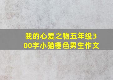 我的心爱之物五年级300字小猫橙色男生作文