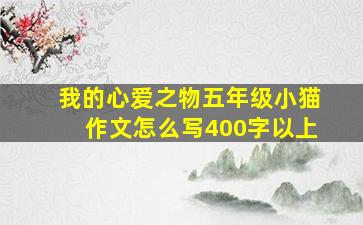 我的心爱之物五年级小猫作文怎么写400字以上