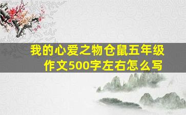 我的心爱之物仓鼠五年级作文500字左右怎么写