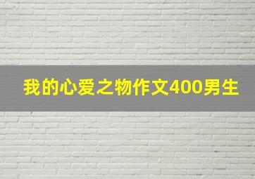 我的心爱之物作文400男生