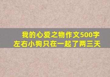 我的心爱之物作文500字左右小狗只在一起了两三天